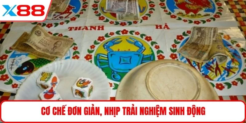 Cơ chế đơn giản, nhịp trải nghiệm sinh động